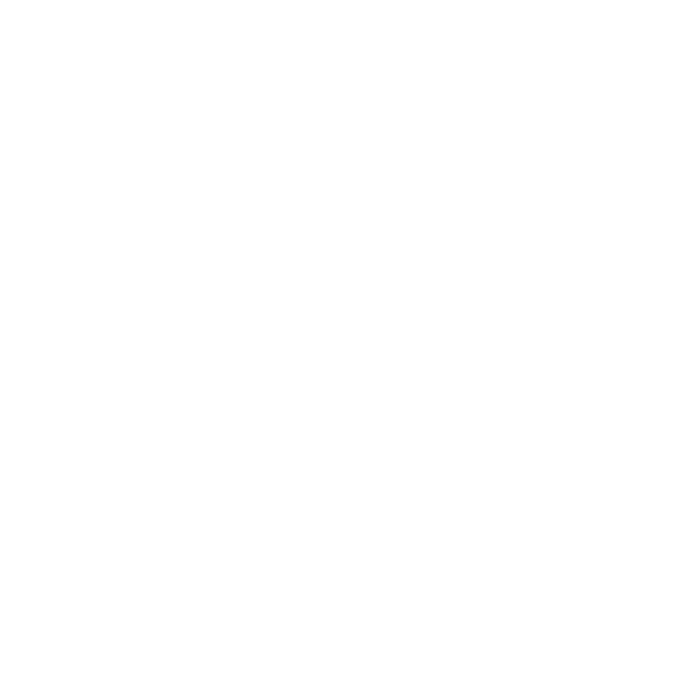 Vision Icon
