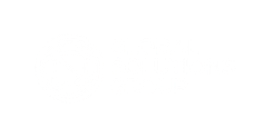 Strategic Partner Logo